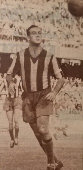 Stefanini